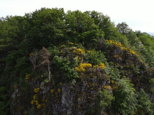 Thiers [14-05-2022](0716).jpg